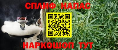 a pvp Будённовск